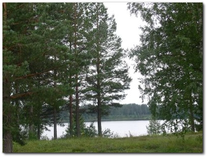 From the middle tree right down to the water I have my 80 meter vertical tuned for the CW part around 3510kHz.